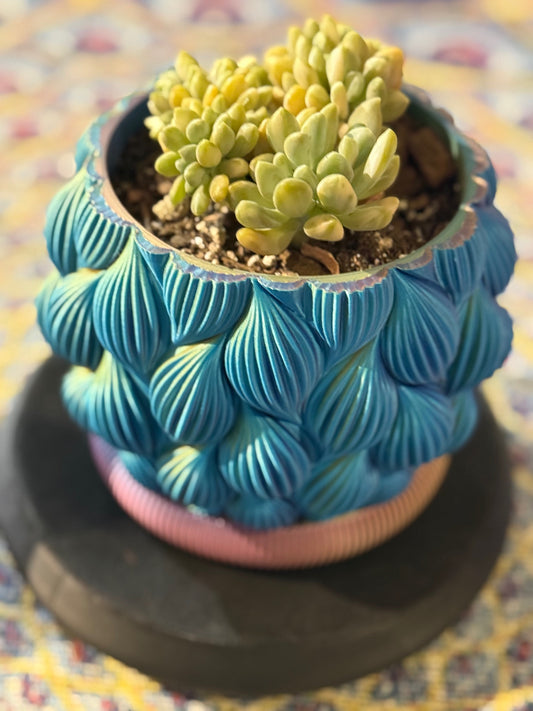 Custom Order - Planters